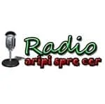 Radio Aripi Spre Cer - International