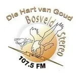 Bosveld Stereo