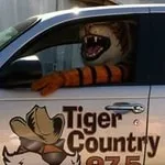 Tiger Country 97.5 - WTGR