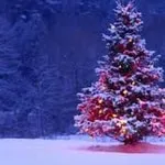 christmasweihnachten
