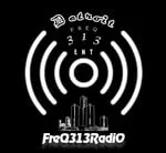 FreQ313RadiO