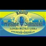 Radio Wesole Slonzoki