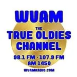 98.1 and 107.9 WVAM - WHNK