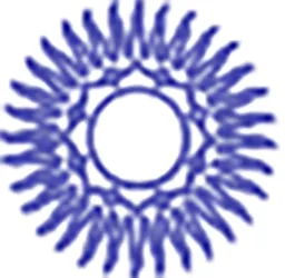 Satsangs of Swami Amar Jyoti