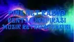 Pine Net Radio
