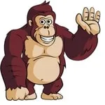 The Gorilla