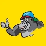 95.3 Gorilla - WZNF