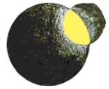 ORBITAL