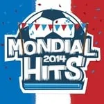mondial2014hits